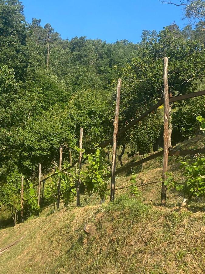 Villa Maremonti - Con 3 Piscine Sestri Levante Eksteriør bilde